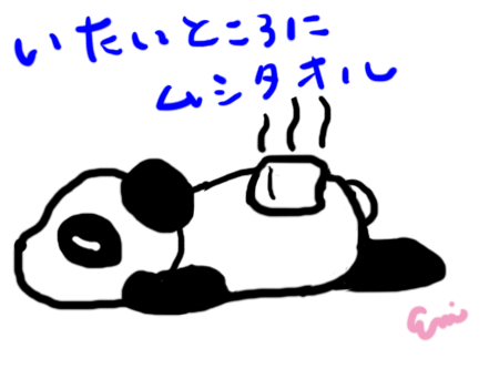 蒸しタオル健康法