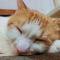 不安になる時の対処法