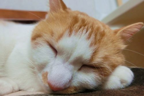 不安になる時の対処法