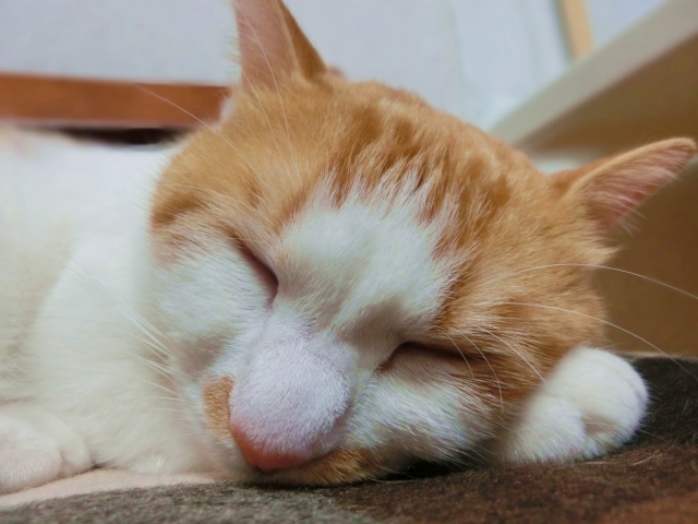 不安になる時の対処法